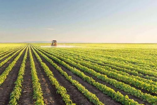 農(nóng)產(chǎn)品銷(xiāo)售難 這些新的農(nóng)場(chǎng)的營(yíng)銷(xiāo)方式,讓瓜果蔬菜變現(xiàn)更容易