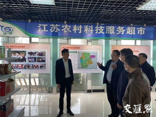 破解無人種地困境,泰州建1.3萬家農民合作社和家庭農場