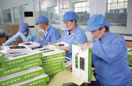 成縣特色農產品助農增收