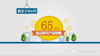 廣西重點建設36個電商進農村綜合示范縣 涉農產品銷售65億元