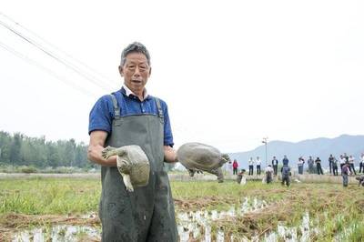 產(chǎn)業(yè)紀(jì)實 | 發(fā)展產(chǎn)業(yè)拔窮根 脫貧致富奔小康--我市開展產(chǎn)業(yè)扶貧推進(jìn)精準(zhǔn)脫貧紀(jì)事