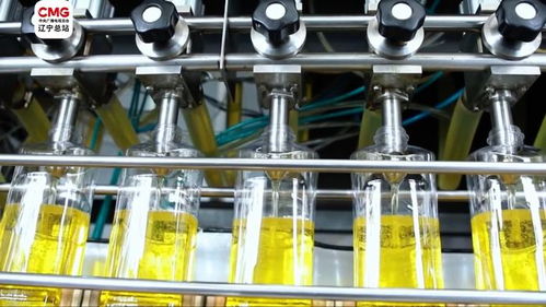 錦州小花生成就致富大產(chǎn)業(yè) 禽蛋經(jīng)濟(jì)的繁榮之路