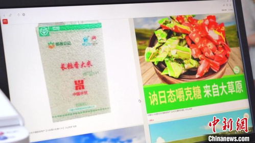 環(huán)游青年返鄉(xiāng)創(chuàng)業(yè) 電商興農(nóng)開拓海內(nèi)外家禽市場(chǎng)