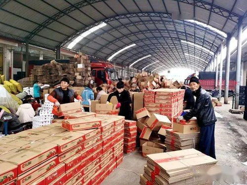 小小水果泡沫托，輕盈承載脫貧夢——探索初級農產品網絡銷售新路徑